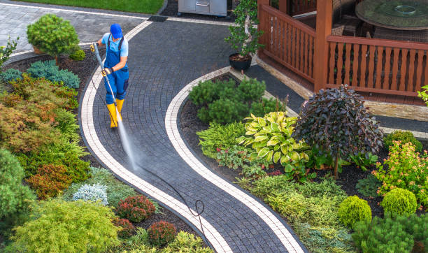 Best Pressure Washing Near Me  in Vicksburg, MS